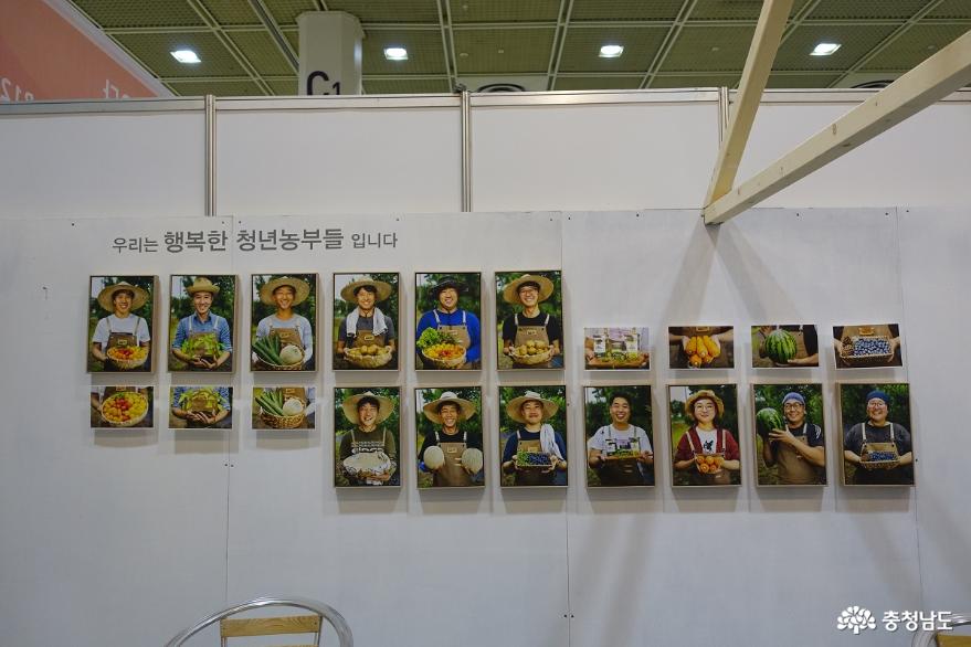 친환경유기농무역박람회2020에서만난충남의유기농농산품 8