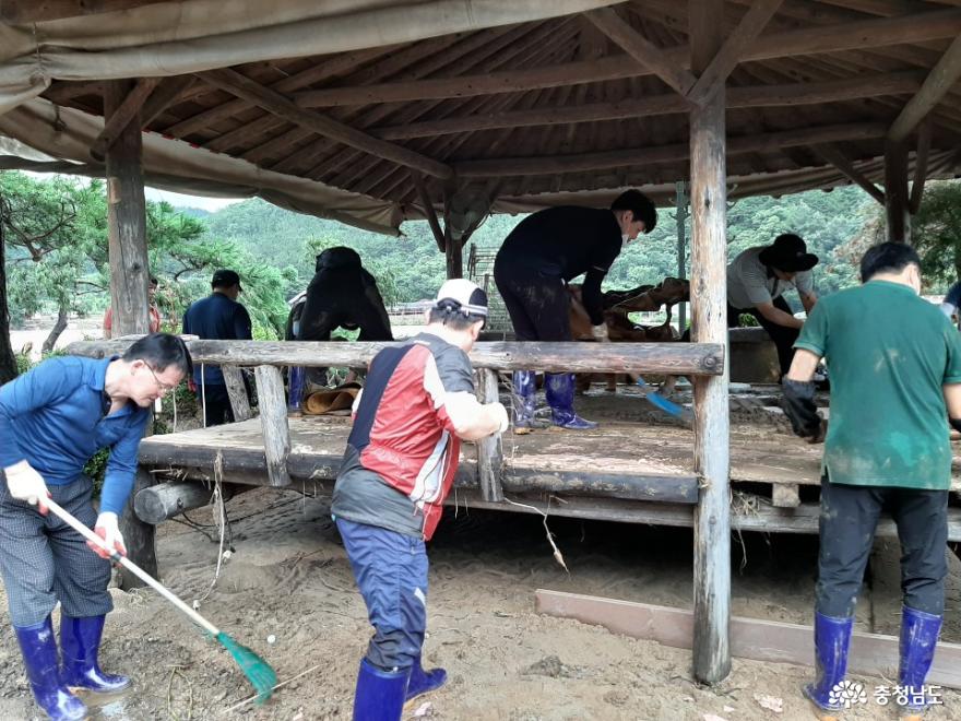 충남역사문화연구원, 호우 피해 농가 찾아 ‘구슬땀’ 4