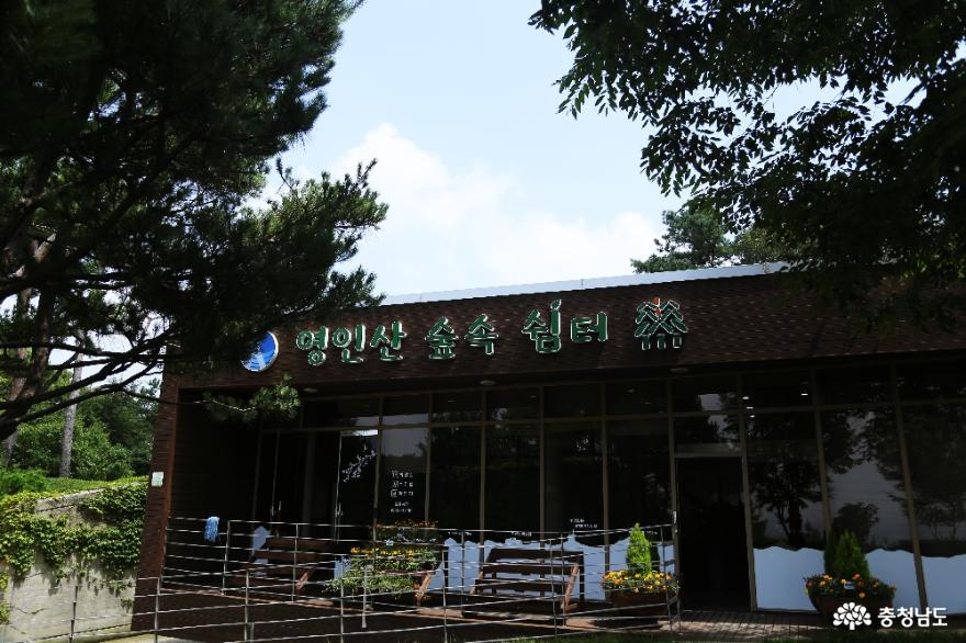 문화 - 여름향기 가득한 영인산자연휴양림과 수목원에서 지친 마음 힐링 - 충청남도 여름향기 가득한 영인산자연휴양림과 수목원에서 지친 마음... 