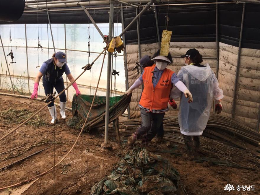 사진은 태안군의용소방대연합회 회원들이 천안 수해복구 현장에서 복구작업에 구슬땀을 흘리고 있다.