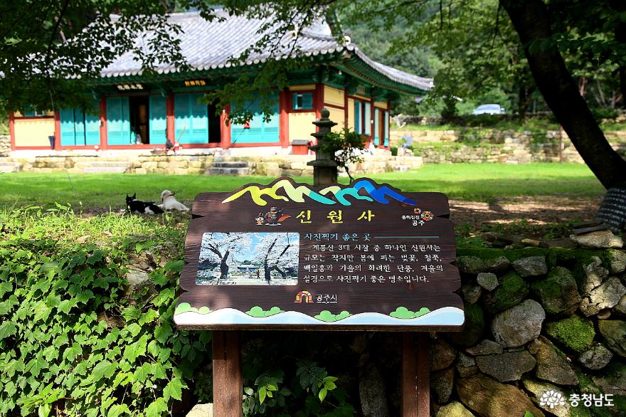 > > >충남관광