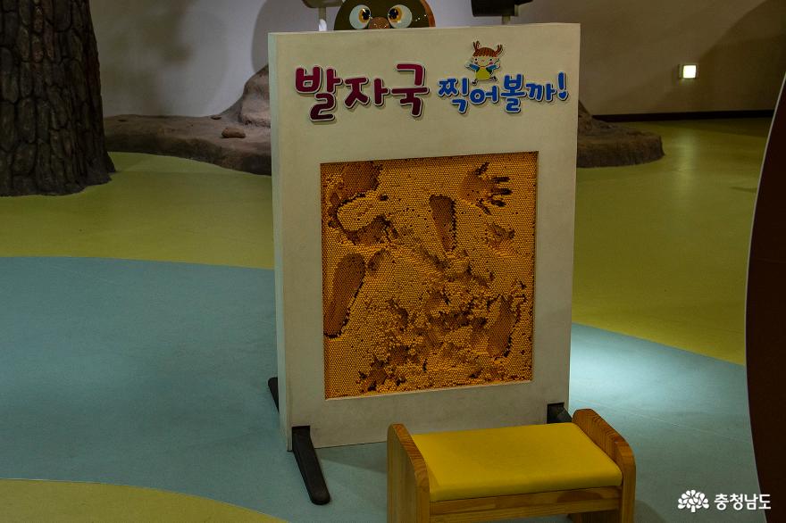 산림문화의 현장학습장 아산 영인산 산림박물관 사진