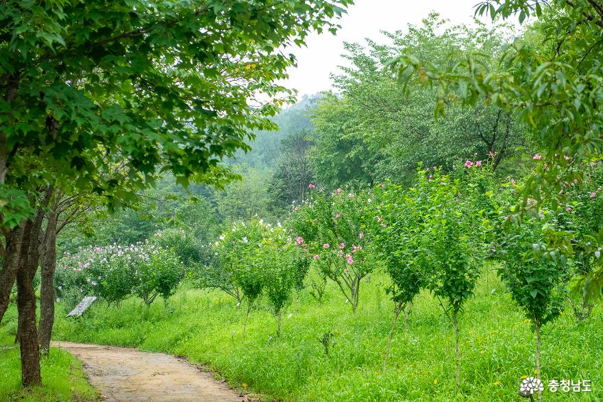 자연속의산림종합문화공간아산영인산수목원 14