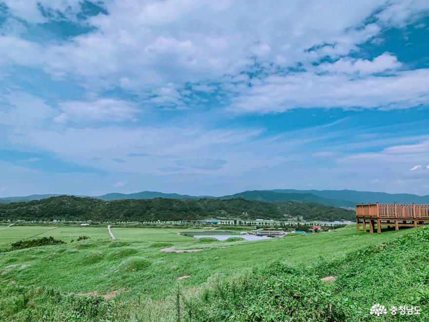 홀로 조용히 떠나는 과거로의 여행, 공주 수촌리고분군 사진