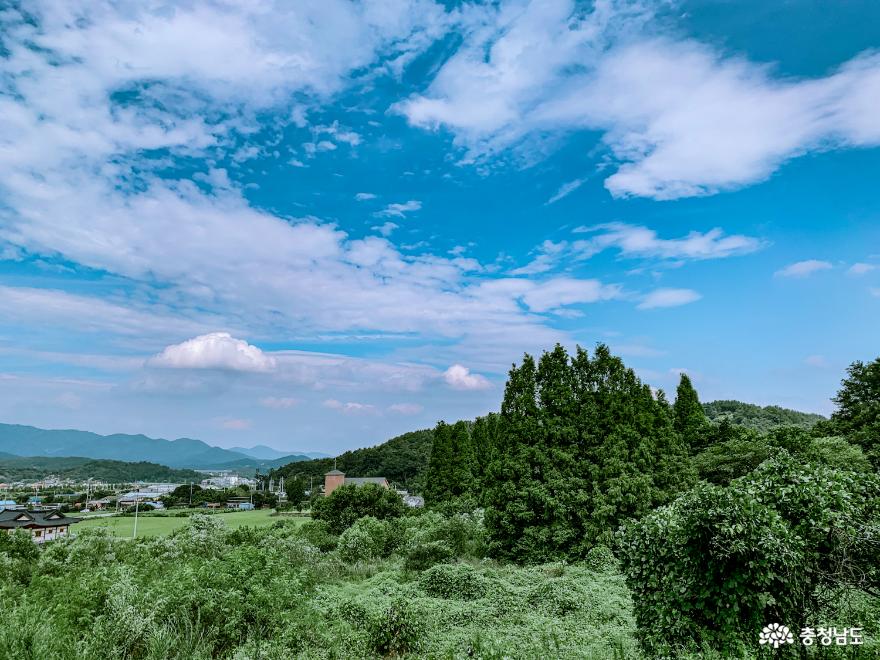 홀로 조용히 떠나는 과거로의 여행, 공주 수촌리고분군 사진