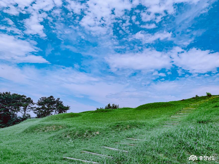 홀로 조용히 떠나는 과거로의 여행, 공주 수촌리고분군 사진