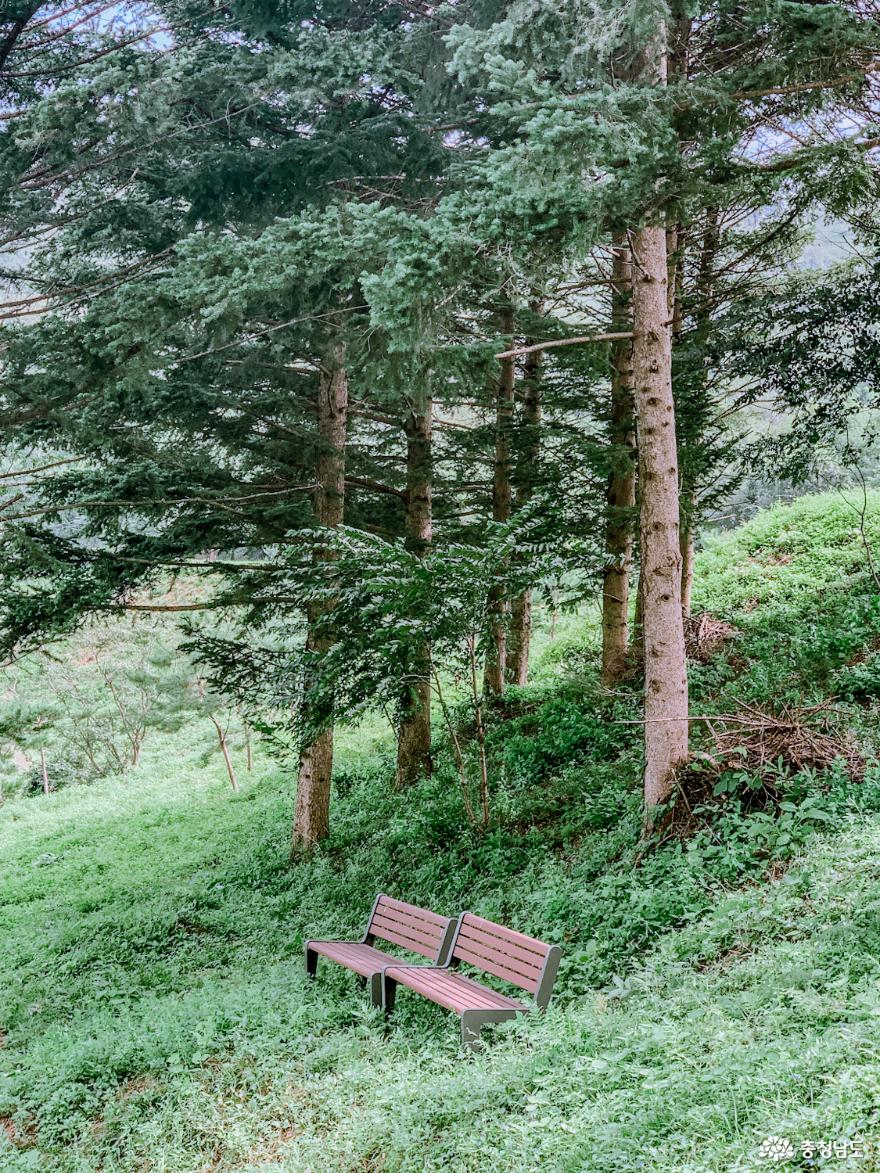 홀로 조용히 떠나는 과거로의 여행, 공주 수촌리고분군 사진