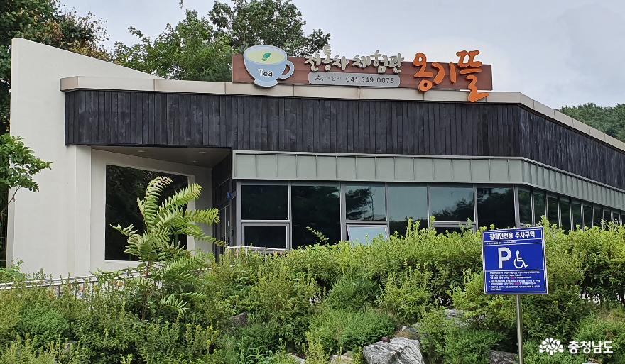 아산 옹기발효음식전시체험관 전통차