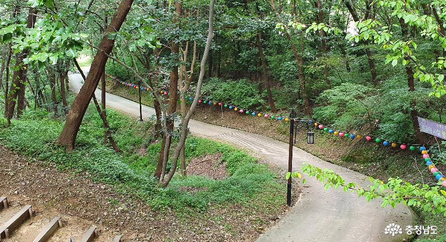 공주시 공산성 산책길 1.
