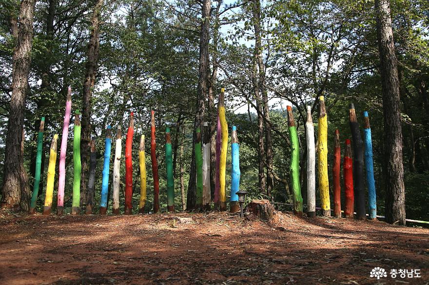 숲속에서 만나보는 2020 금강자연미술비엔날레 사진