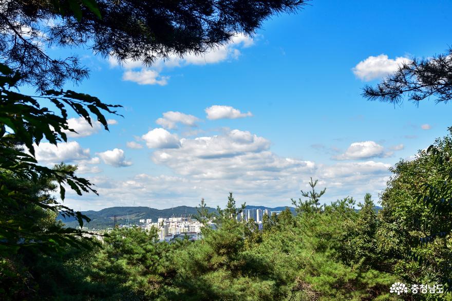 등산로에서 본 나뭇잎 사이로 보이는 파란 하늘과 도심 