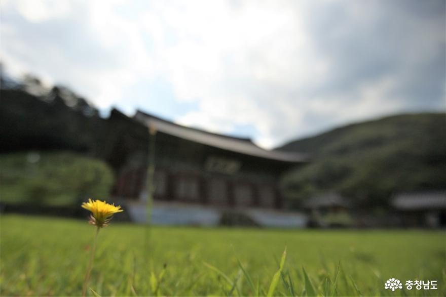 쌍계사, 이제 버스 타고 여행하세요 사진
