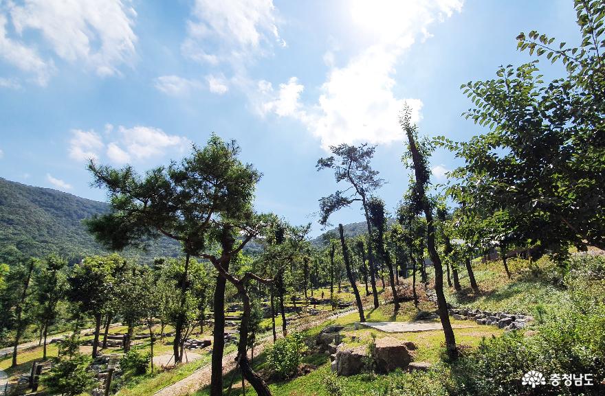 자연을 만끽하는 공주산림휴양마을 사진