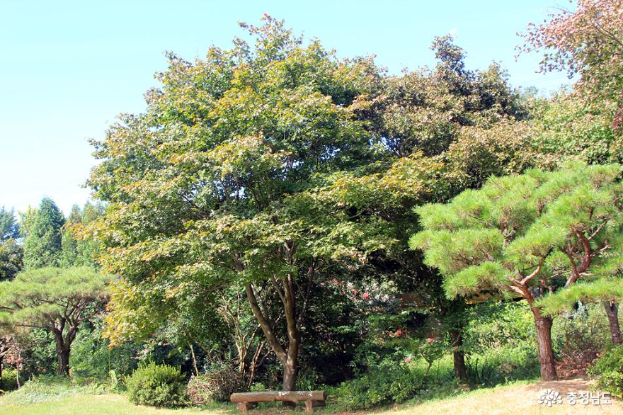 신죽리수목원 풍경