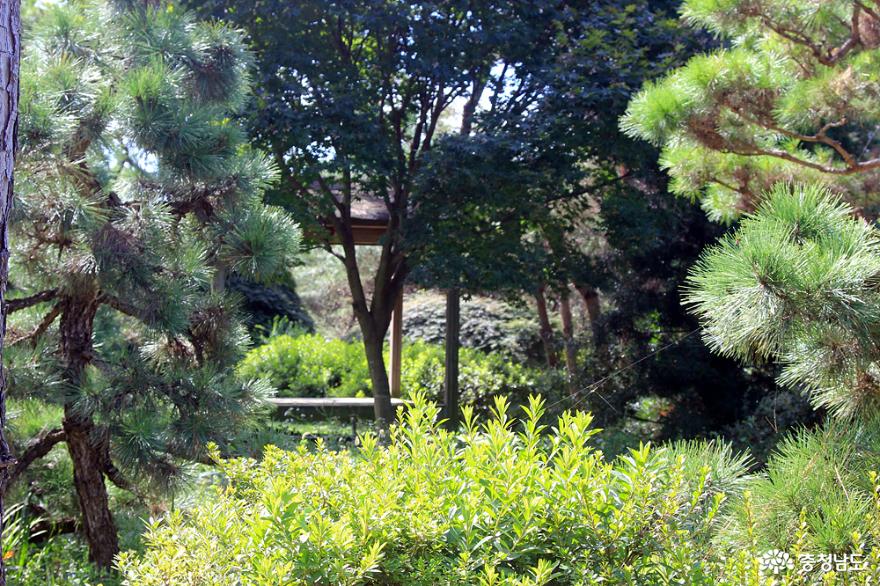 신죽리수목원 풍경