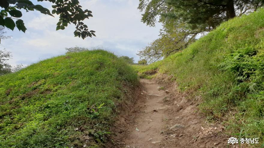 영동루 오르는 산길