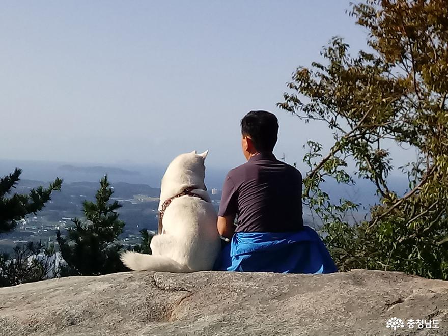 백화산에서 반려견과 여유를 즐기는 태안의 농부