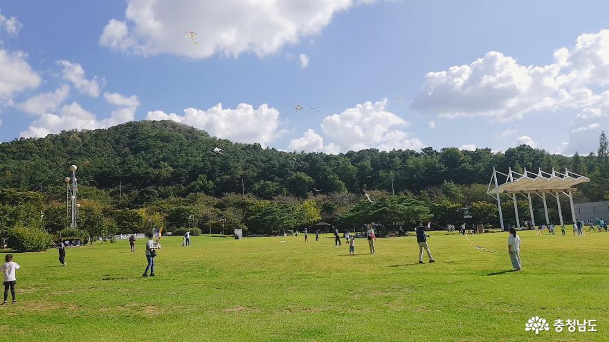 아산 신청호 연날라기