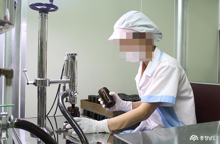 인삼 생산에서 홍삼 가공·판매·체험까지 '원스톱' 사진