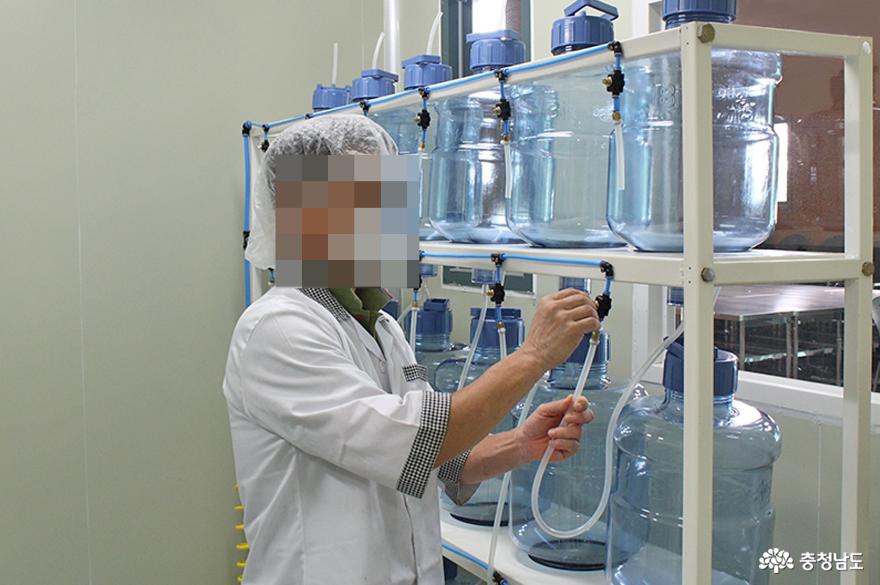 인삼 생산에서 홍삼 가공·판매·체험까지 '원스톱' 사진