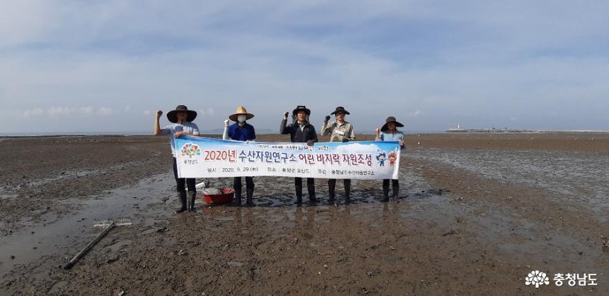 어린 바지락 500만 패 첫 방류 사진