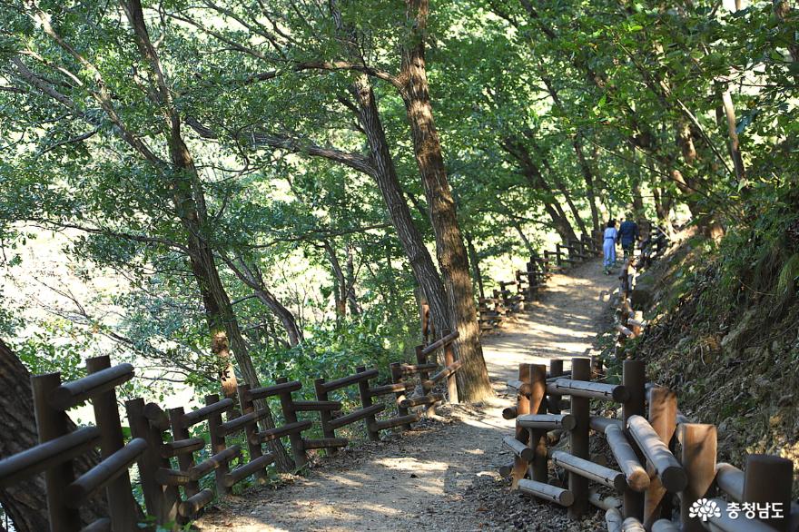 아이들의 산 자연생태학습장 공주 금학생태공원 사진