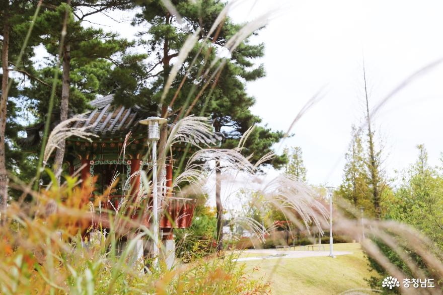 천안 예술의전당 공원의 아름다운 가을풍경