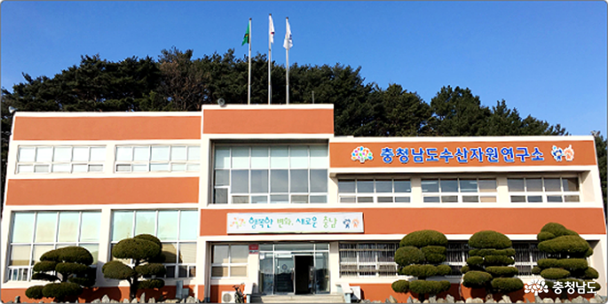 전국 최고 자율관리어업 공동체 ‘태안 대야도’ 1
