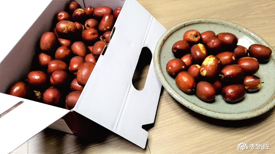 500g 소포장 대추