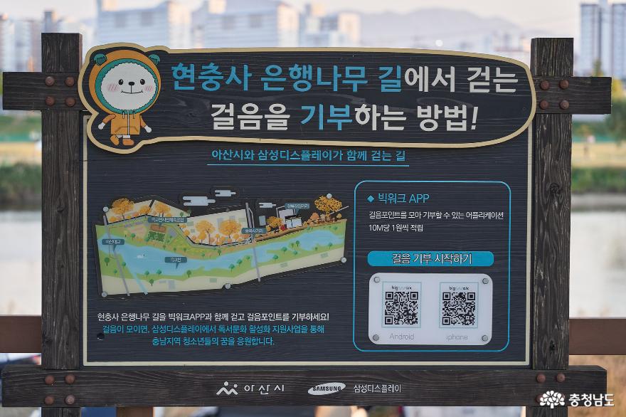 붉은 노을을 품은 아산 은행나무길 사진