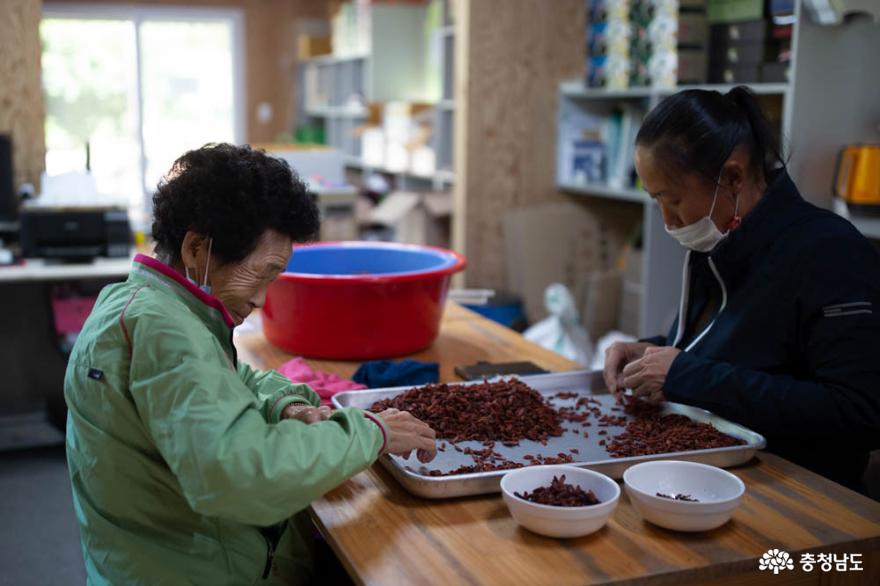 마을 주민의 적극적 참여로 성장하는 청양 '사자산영농조합법인' 사진