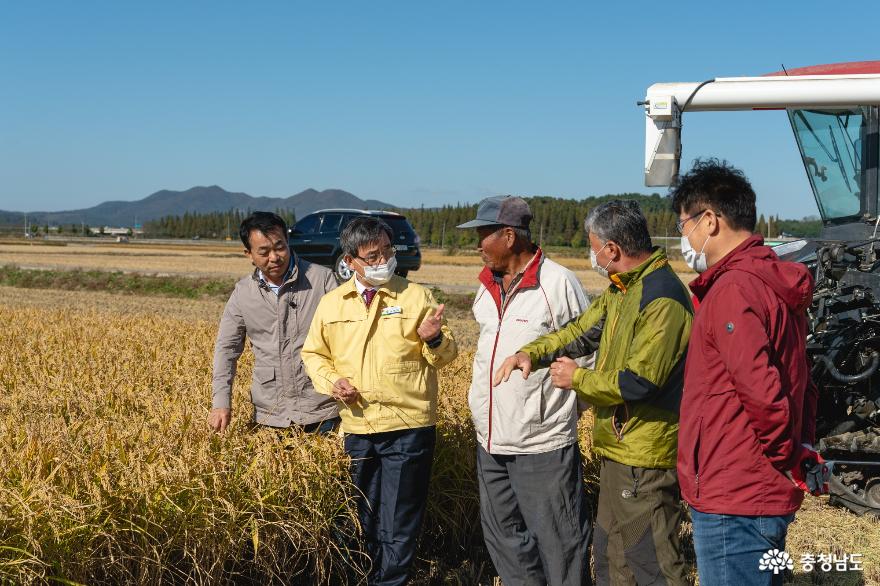 노박래 서천군수, 유기쌀 재배단지 벼 수확 현장 방문