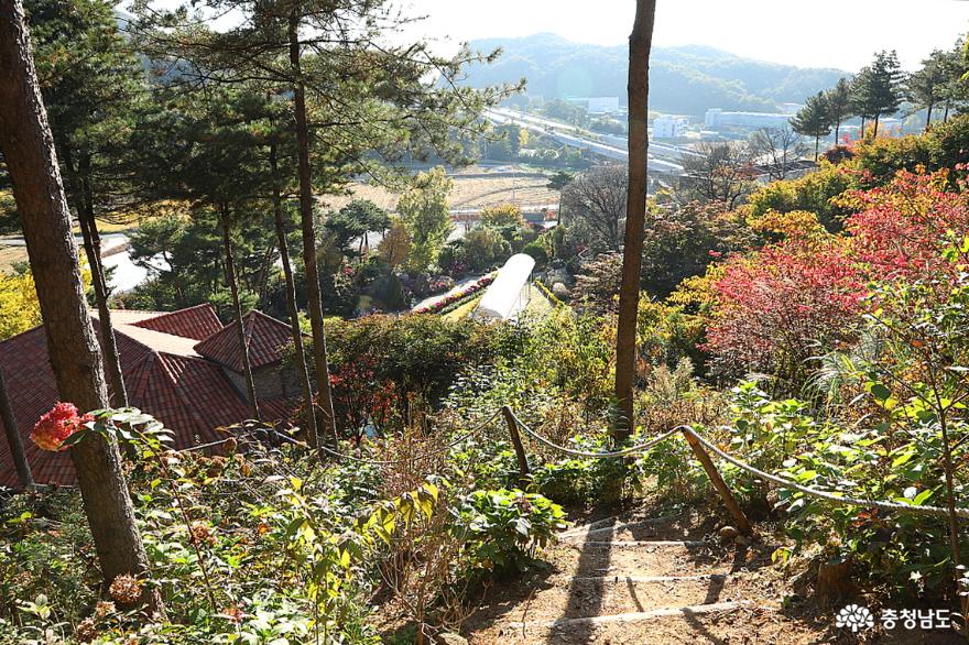 아름다운 정원 천안 화수목으로 가을 감성여행 떠나보자 사진
