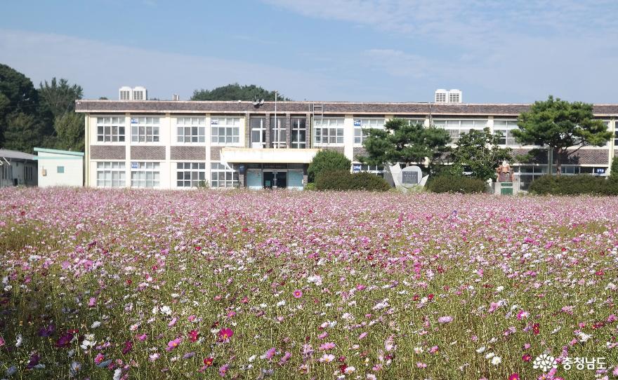 폐교의 변신 홍성 대평초등학교