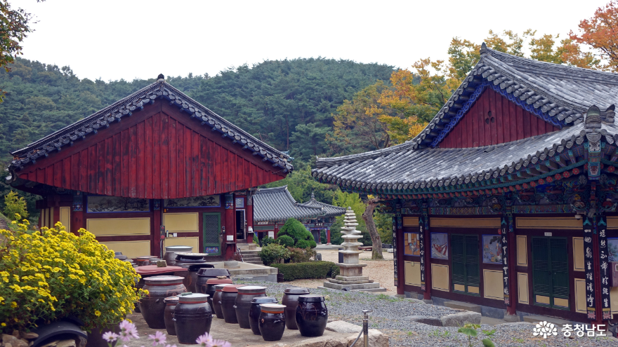 작지만 예쁜 가을을 맞고 있는 예산 향천사 사진