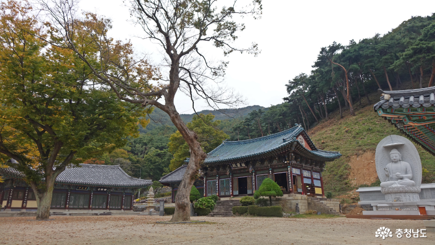 작지만 예쁜 가을을 맞고 있는 예산 향천사 사진