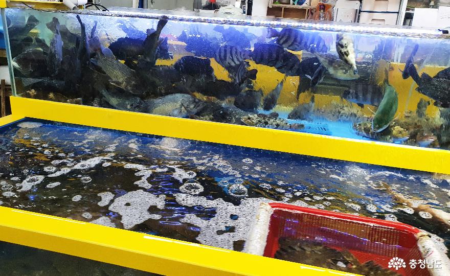 신선한 해산물 가득 ‘삽교호 전망대종합어시장’ 사진
