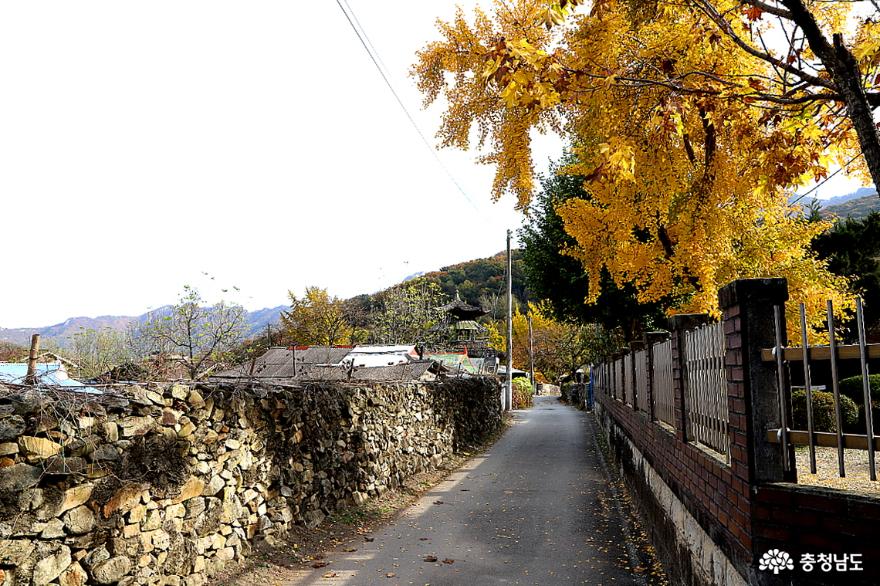 가을을 담은 계룡산도예촌 & 상신리 돌담마을 사진