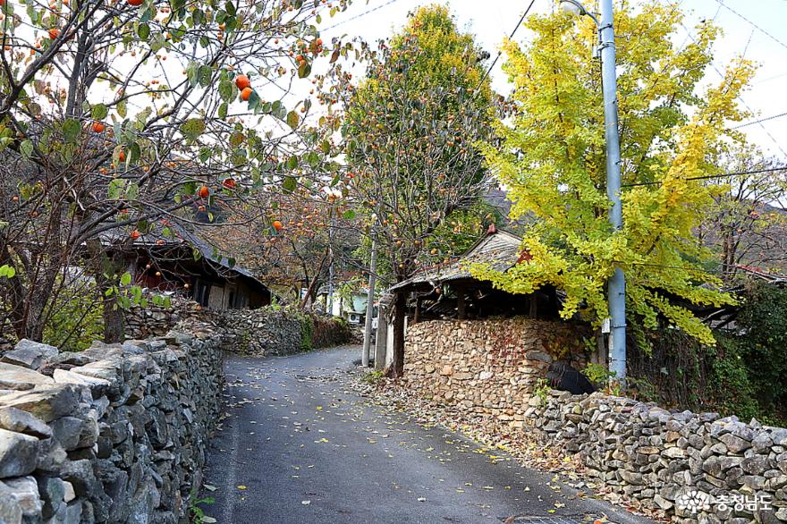 가을을 담은 계룡산도예촌 & 상신리 돌담마을 사진