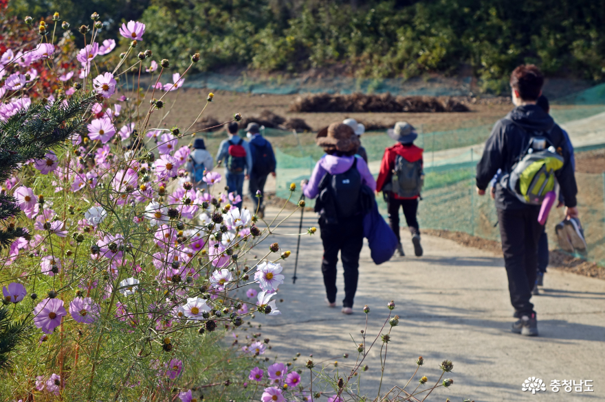 2020년 걷기여행 활성화를 위한 서산 아라메길 걷기여행 사진