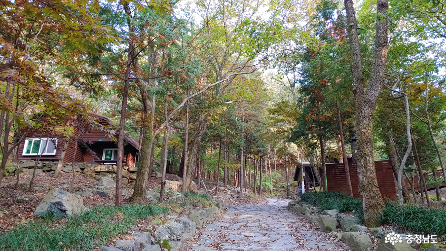 성주산 자연휴양림 숲속의 집