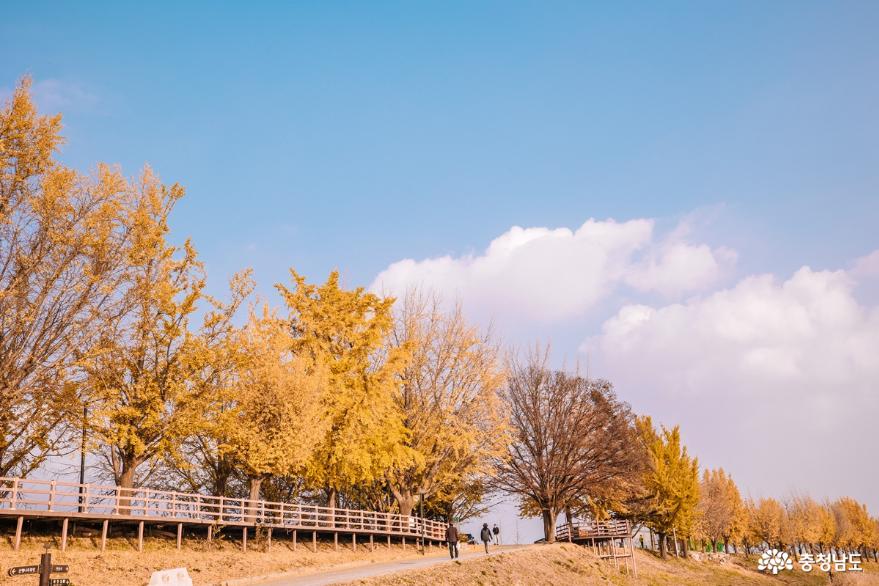 오롯이 가을 풍경을 즐기기 좋은 아산 단풍명소 세 곳 사진