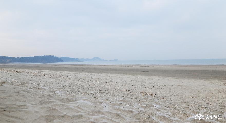 전국 10대 해수욕장 춘장대해수욕장 사진