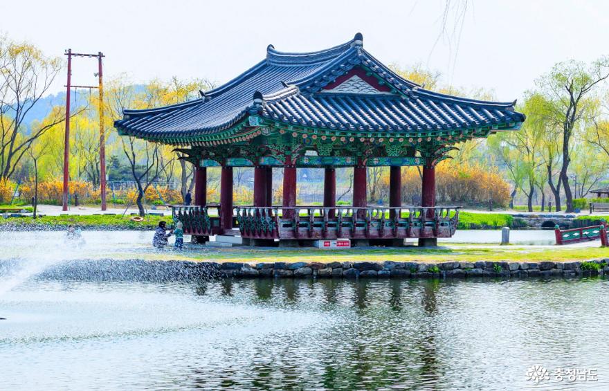 작품명 : 공원의 봄, 한국사진작가협회 증평전국사진공모전 입선, 2020.07.31