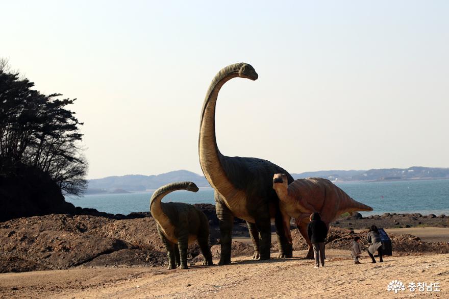 백악기시대 공룡을 만나다