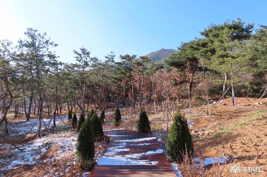 홍성 용봉산 내포사색길 겨울 풍경 사진