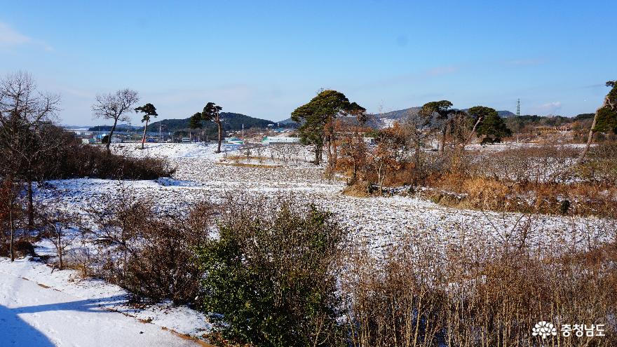 겨울풍경이아름다운남포읍성과남포초등학교 8
