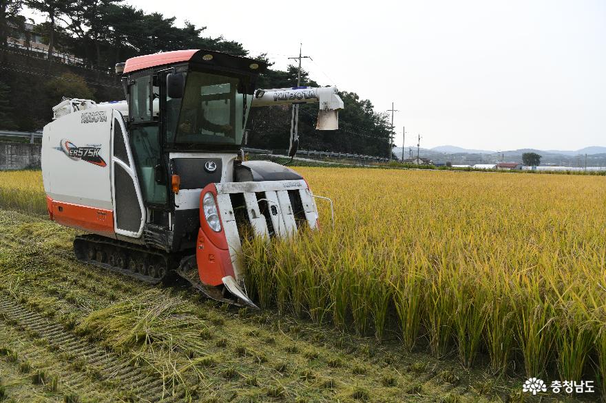홍성군, 친환경농업의 미래 청사진 제시한다!