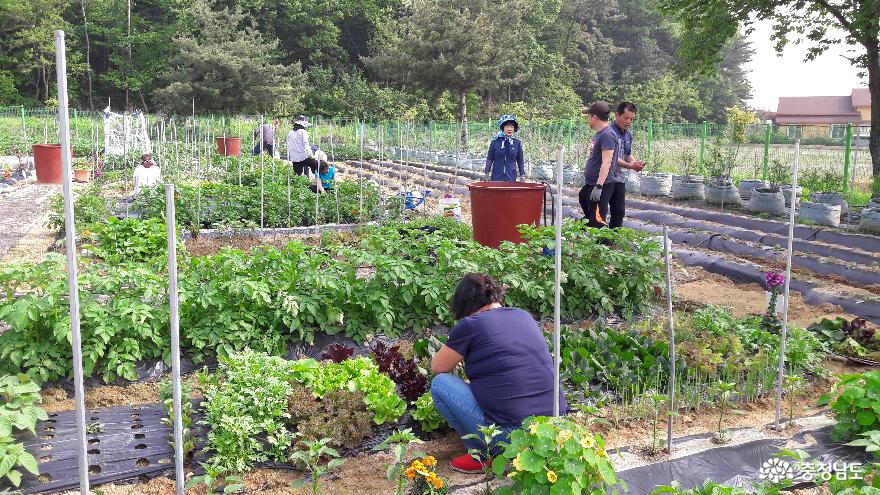 천안시농업기술센터, 천안도시농부학교 교육생 모집