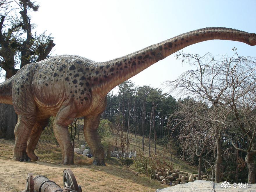 초식공룡 브라키오사우루스